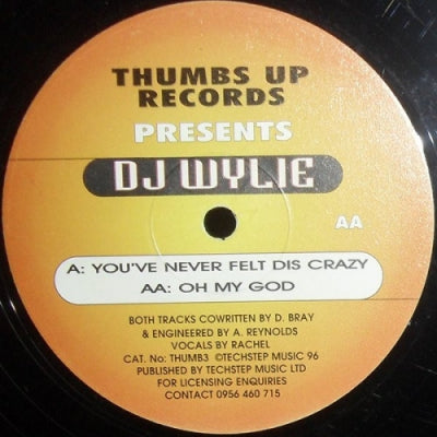 DJ WYLIE - Volume 3 (You've Never Felt Dis Crazy / Oh My God)