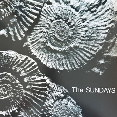 THE SUNDAYS - Reading, Writing And Arithmetic