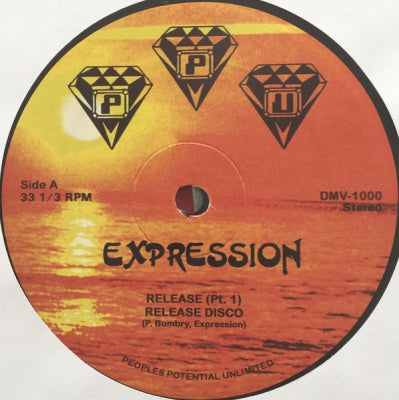 EXPRESSION / MIX O RAP / CHECKER KABB / JIMMY BENNET & THE FAMILY - District Maryland Virginia: Compilation Of The Rarest Synth Funk Go Go Boogie 1983-1985