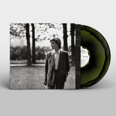 DAVID SYLVIAN - Brilliant Trees