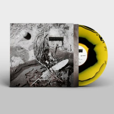 DAVID SYLVIAN - Secrets of the Beehive