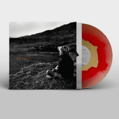 DAVID SYLVIAN - Alchemy - An Index of Possibilities