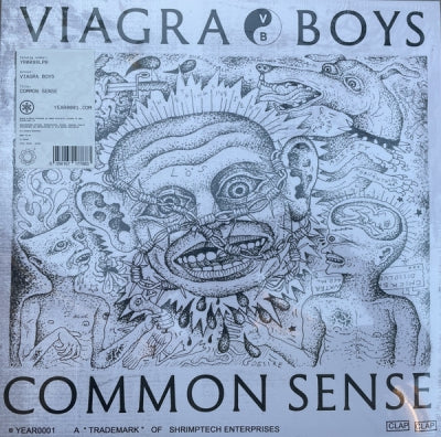 VIAGRA BOYS - Common Sense