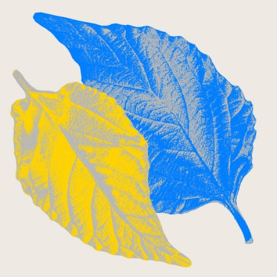 PAU ROCA FEAT. LAURA ELLE - Your Energy