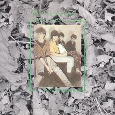 THE CHAMELEONS - Here Today... Gone Tomorrow