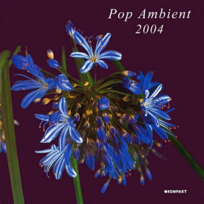 VARIOUS - Pop Ambient 2004