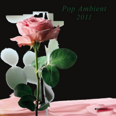 VARIOUS - Pop Ambient 2011