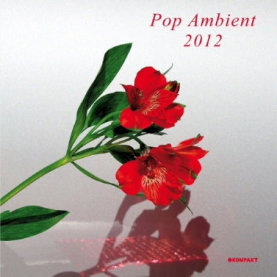 VARIOUS - Pop Ambient 2012