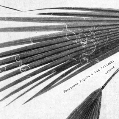 MASAYOSHI FUJITA & JAN JELINEK - Schaum