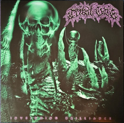 TRIBAL GAZE - Inveighing Brilliance