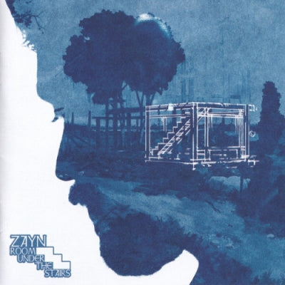 ZAYN - Room Under The Stairs