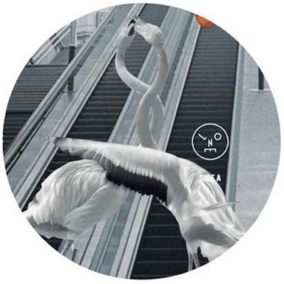 SASHA & HENRY SAIZ - Love Is All You Need