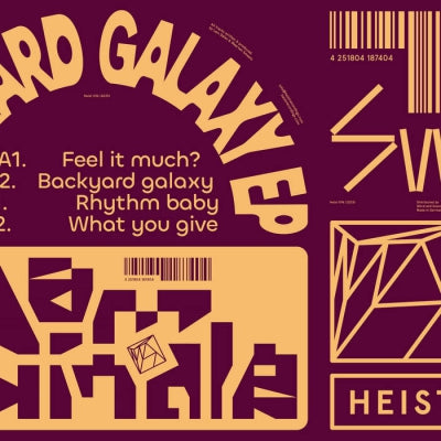 DAM SWINDLE - Backyard Galaxy EP