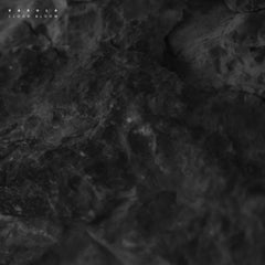 VAKULA - Cloud Bloom