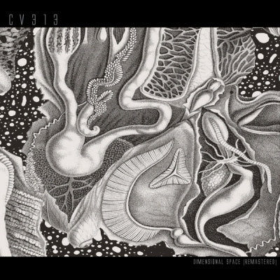 CV313 - Dimensional Space