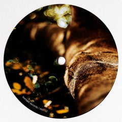 MIKE SCHOMMER - Leaving The Ground