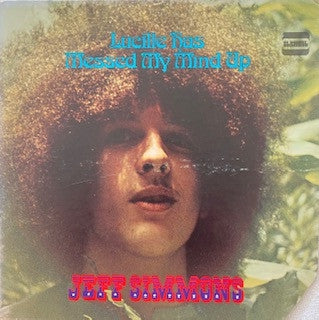 JEFF SIMMONS - Lucille Has Messed My Mind Up
