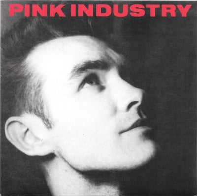 PINK INDUSTRY - What I Wouldn't Give