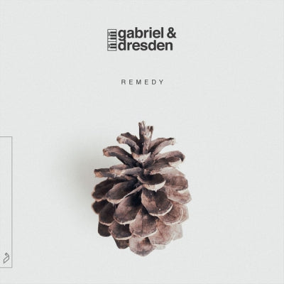 GABRIEL & DRESDEN - Remedy