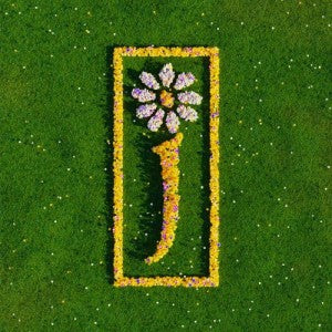 JAMES - Nothing But Love - The Definitive Best Of