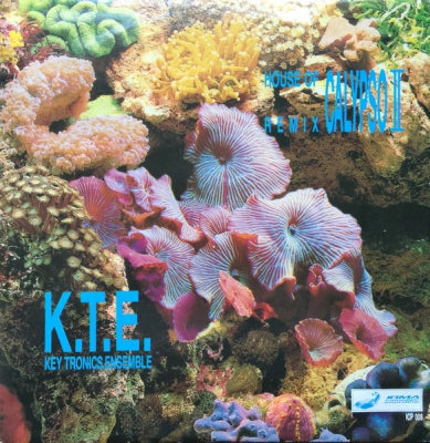 K.T.E. KEY TRONICS ENSEMBLE - House Of Calypso