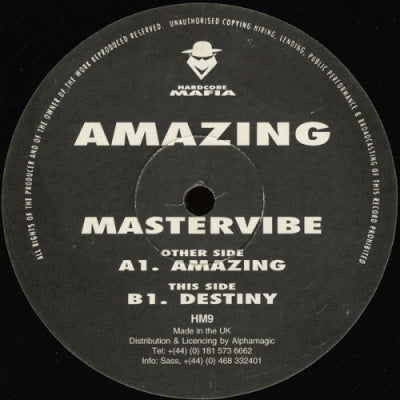 MASTERVIBE - Amazing / Destiny