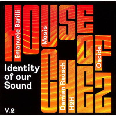 VARIOUS ARTISTS - Identity Of Our Sound V.2