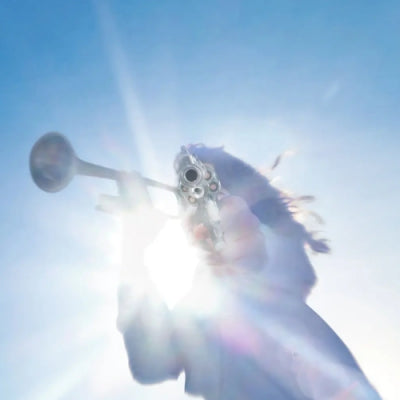 GEESE - Getting Killed