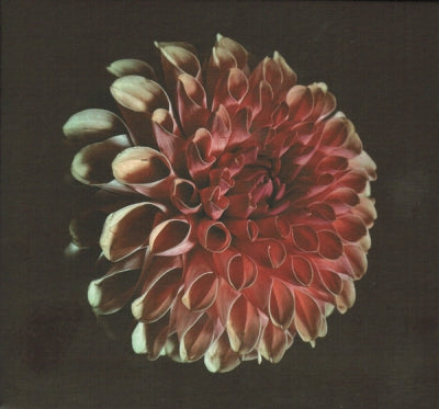 JESSICA MOSS - Unfolding