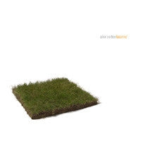 ALEX CORTEX - Laconic