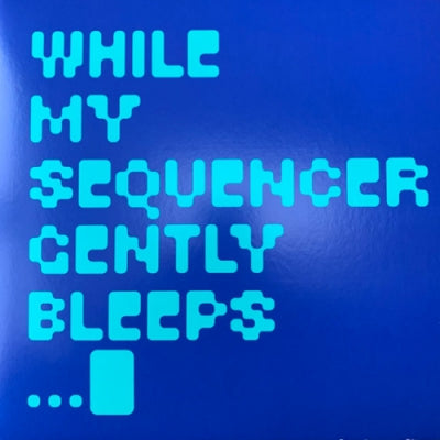 WHILE MY SEQUENCER GENTLY BLEEPS - Roughness