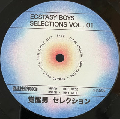 ECSTASY BOYS - Selections Vol. 01