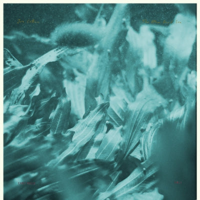 JON COLLIN - The Other Dead Sea