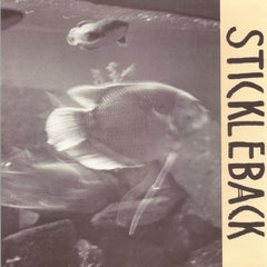 THE EDSEL AUCTIONEER - Stickleback / Colour Of Guilt (Demo)