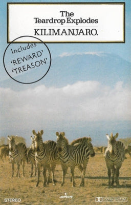 THE TEARDROP EXPLODES - Kilimanjaro