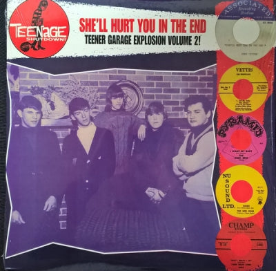 VARIOUS - She'll Hurt You In The End (Teener Garage Explosion Volume 2!)