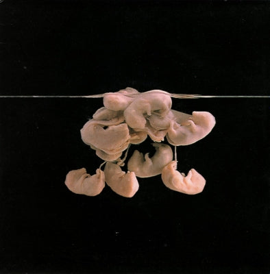 SCHEER - Wish You Were Dead / Hanging On The Telephone