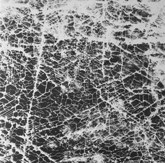 BAPTISMA - Pes