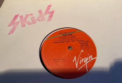SKIDS - The Saints Are Coming / Into The Valley