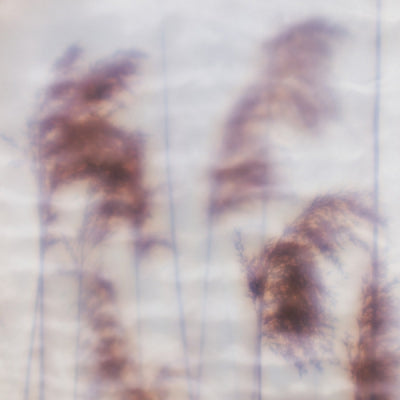 OVÏD - Dream Sequence EP