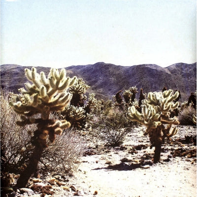 ANDREA - Duer In Colour