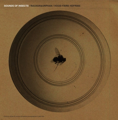 RACKER & ORPHAN - Sounds Of Insects