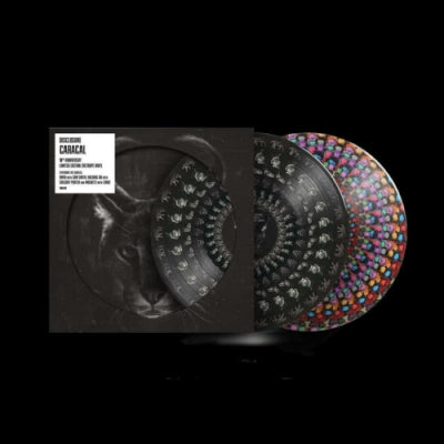 DISCLOSURE - Caracal