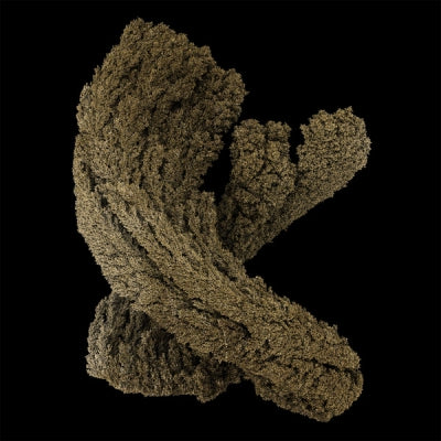 MAX COOPER - Emergence