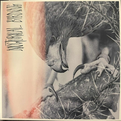 AUTHOR & PUNISHER - Nocturnal Birding