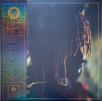 THUNDERCAT - It Is What It Is