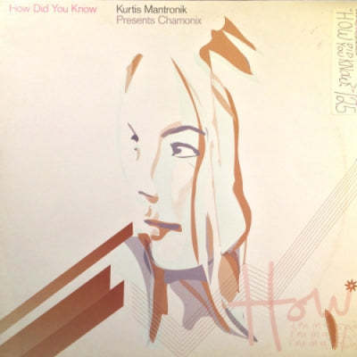 KURTIS MANTRONIK PRESENTS CHAMONIX - How Did You Know (Promo 2)
