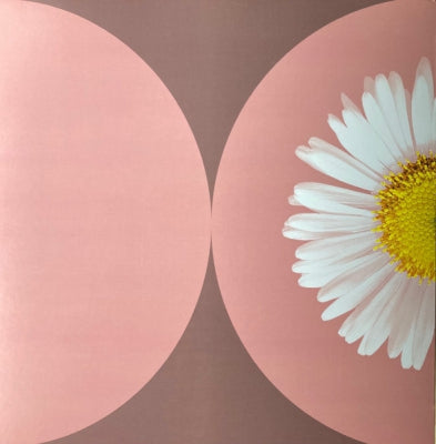 DAISY GLOW - Give It All