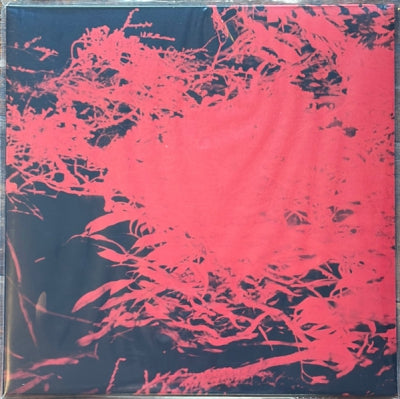 ANTHONY NAPLES - In Studio Magic