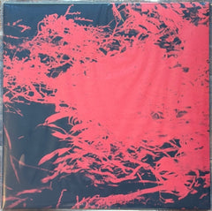 ANTHONY NAPLES - In Studio Magic